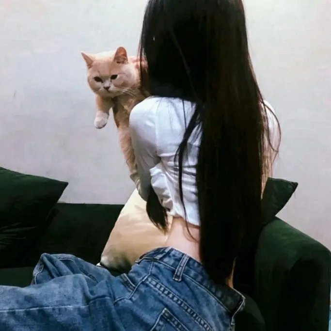 深夜食堂 在线观看